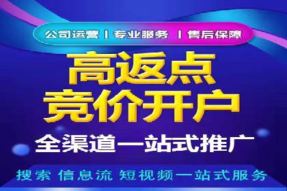 SEM运营推广策略：成功案例解析